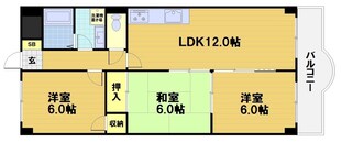 グレイスヴィラ阿部の物件間取画像